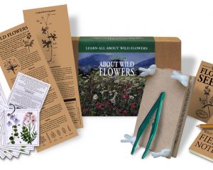 Wild Flowers Kit